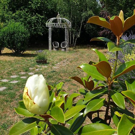 La Maison Des Thermes, Chambre D'Hote Saintes Esterno foto