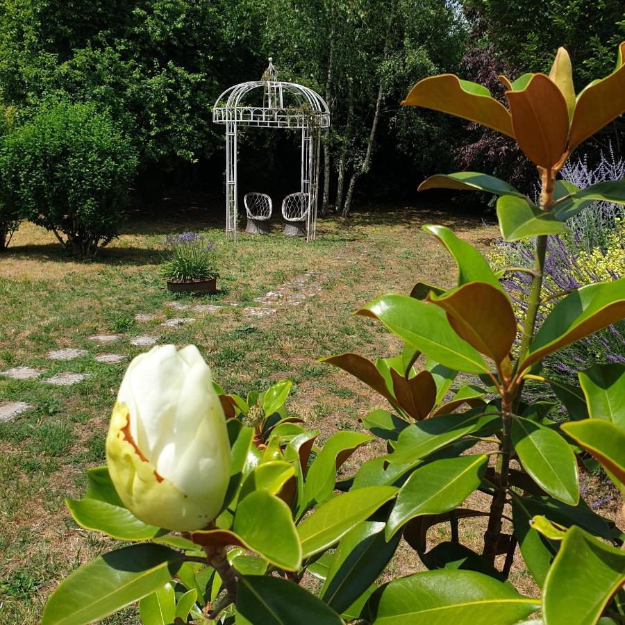 La Maison Des Thermes, Chambre D'Hote Saintes Esterno foto
